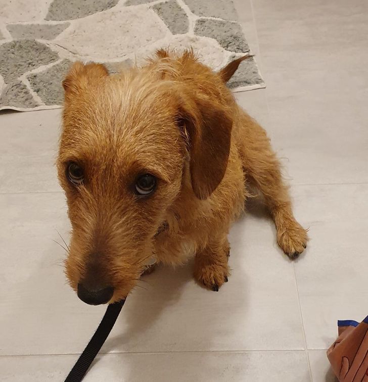 53826d5e36a098acdb2d14af6c