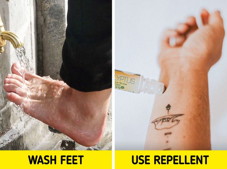 538c7854bb82f4b6c0444d8817