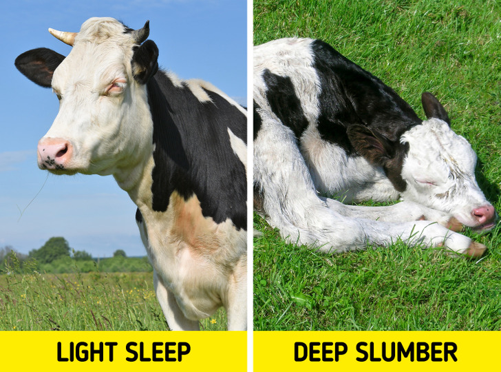 538e4a51c9b9f730336237ebec