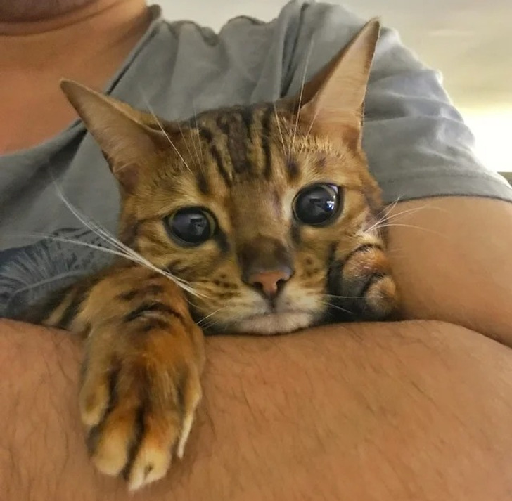 53945c58d88b9693ded3b49dc4