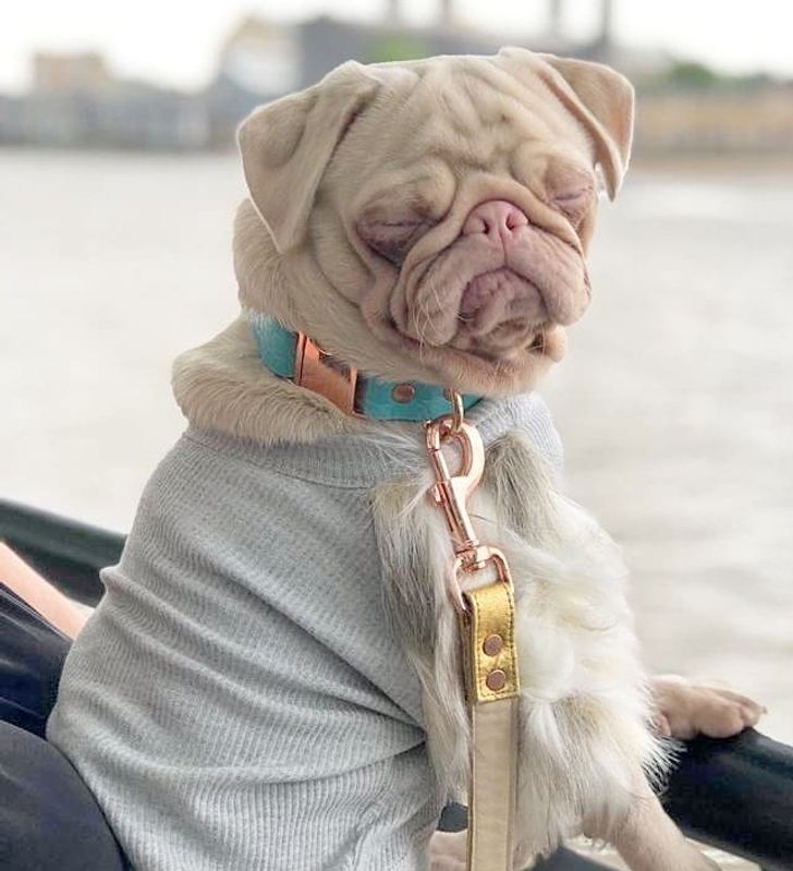 5395545b7c82916fcb45401e11