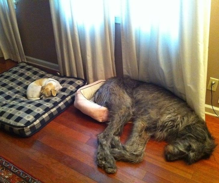 5395765fee92d4709889b71023