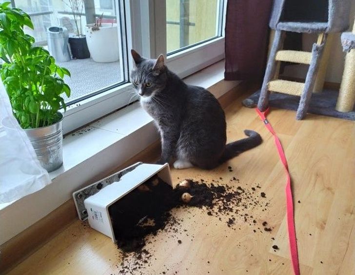 53a6f359f8867bdcd19048c8aa