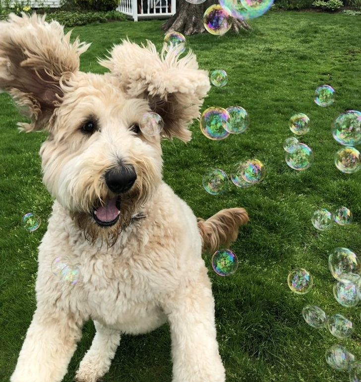 53af515fdd907cfa3adc453210