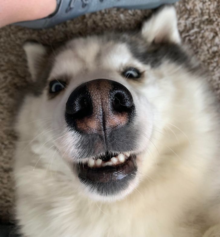 53b0205426b3637586702728c1 53b0205426b3637586702728c1