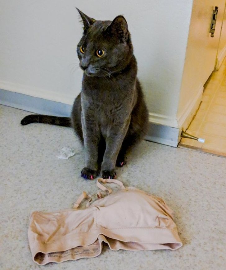 53bba754d397dd1f390e308720