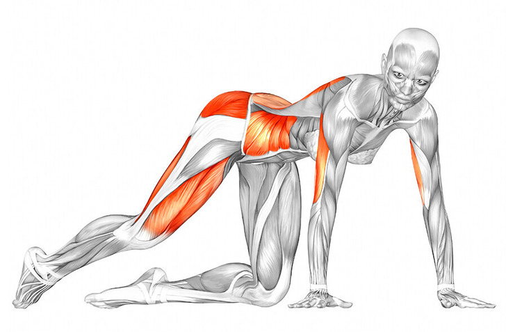 53bbd65dc8ad59f5a447bc7af6