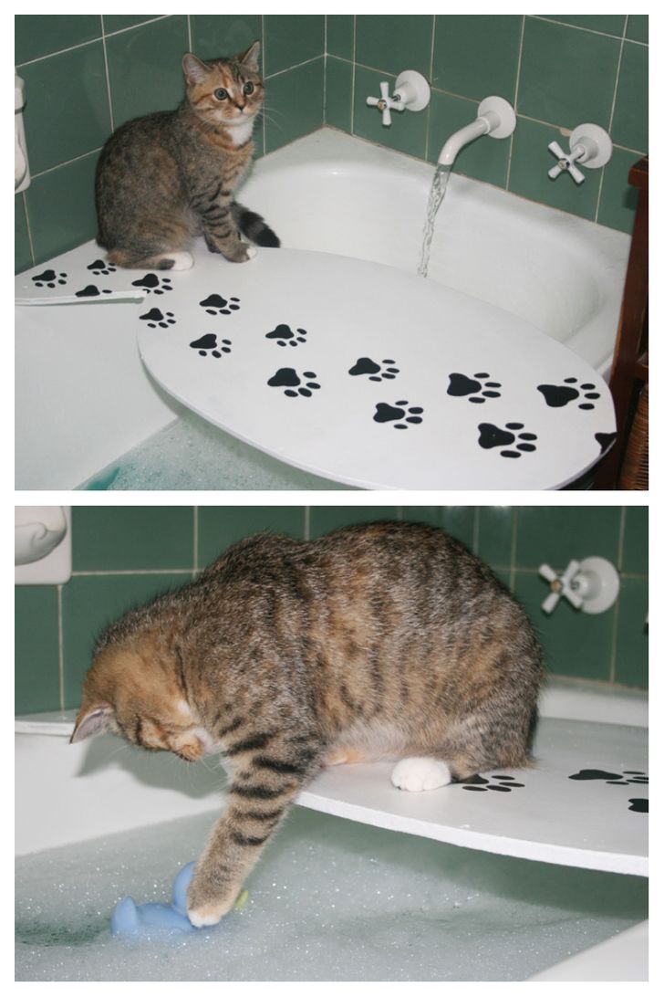 53bf585a38b243cc36c14e5b35