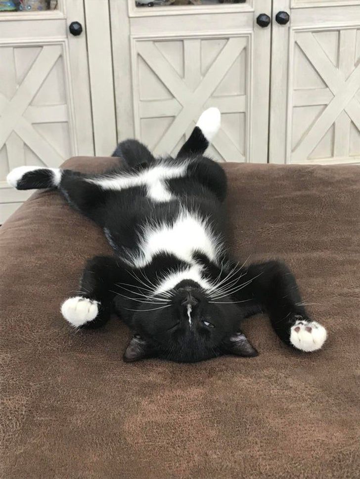 53c0895ac19b2111f496d307a2