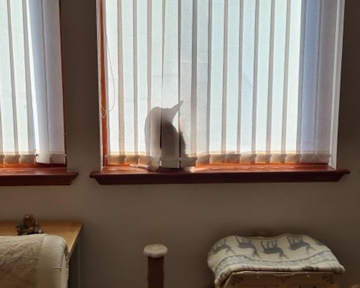 53c87b59fead4ccf323d3b9cb6