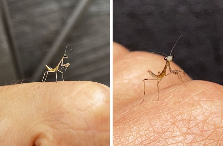 53cb885d1eac670ffe61a23fe5