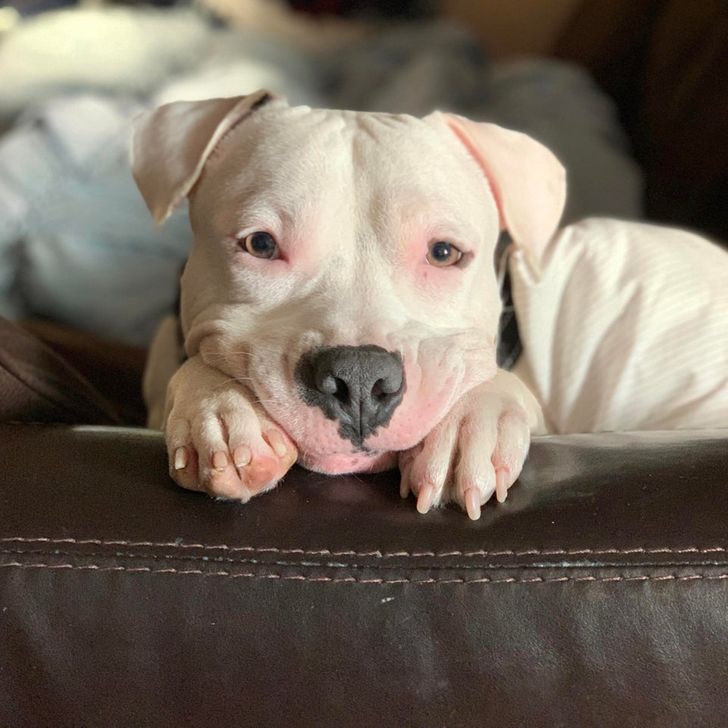 53d8a05131a38463504ecfbcfd