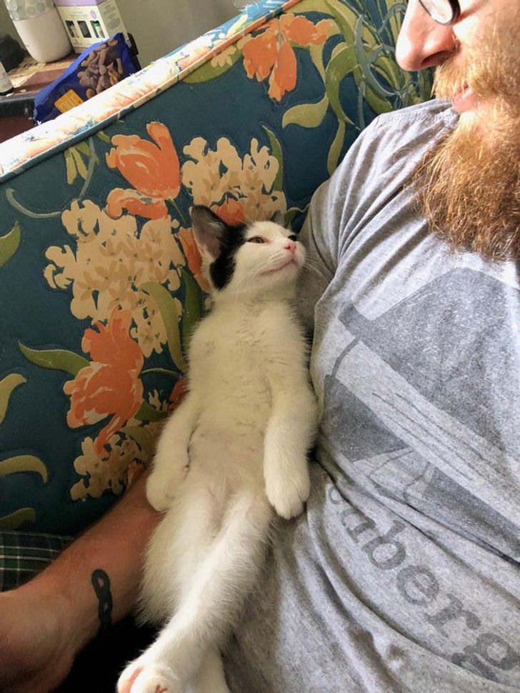 53d9db5c64907dbcdeb290c6ae