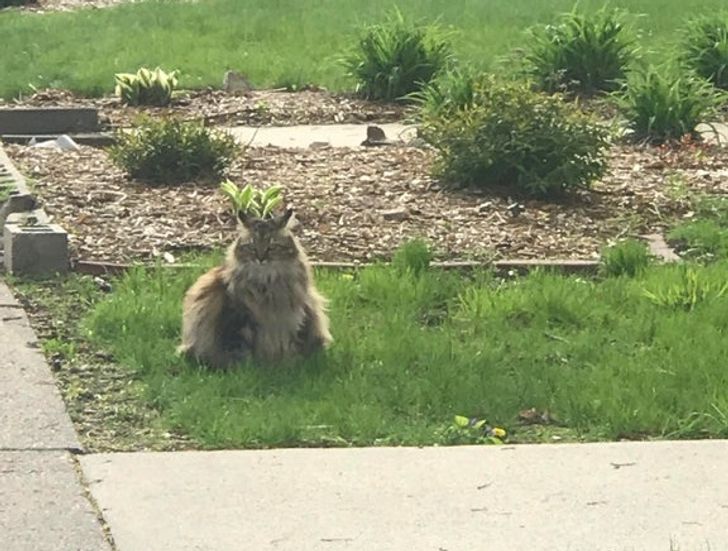 53dd0557d088115b1998266bc5