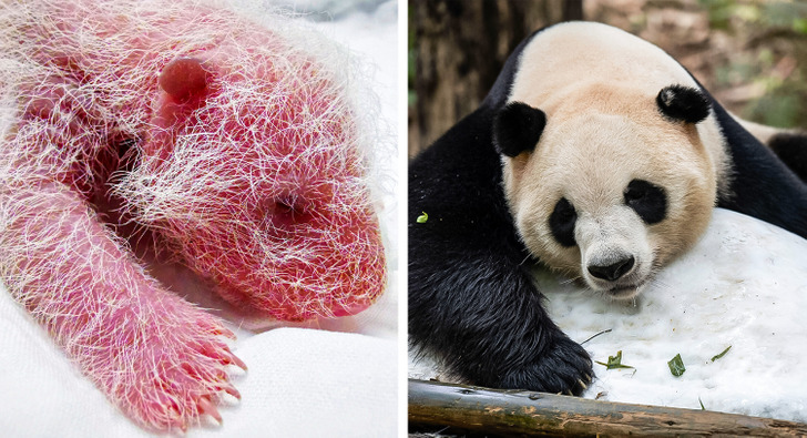 53dd1656ed93657d4bae6769c7