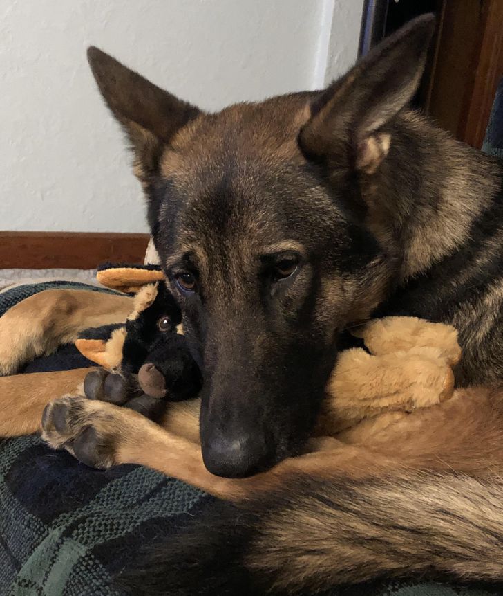 53e2c150498ae7d380182d4a58 53e2c150498ae7d380182d4a58