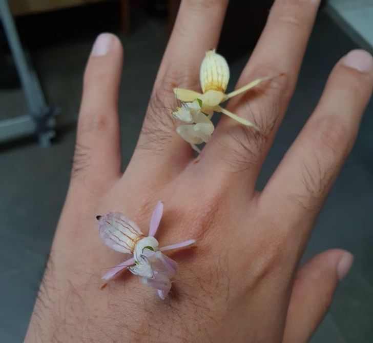 53f6625904a697c3682d6279f1