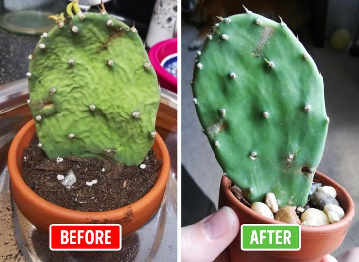 53f9de5366b01cdf0c56efb55d