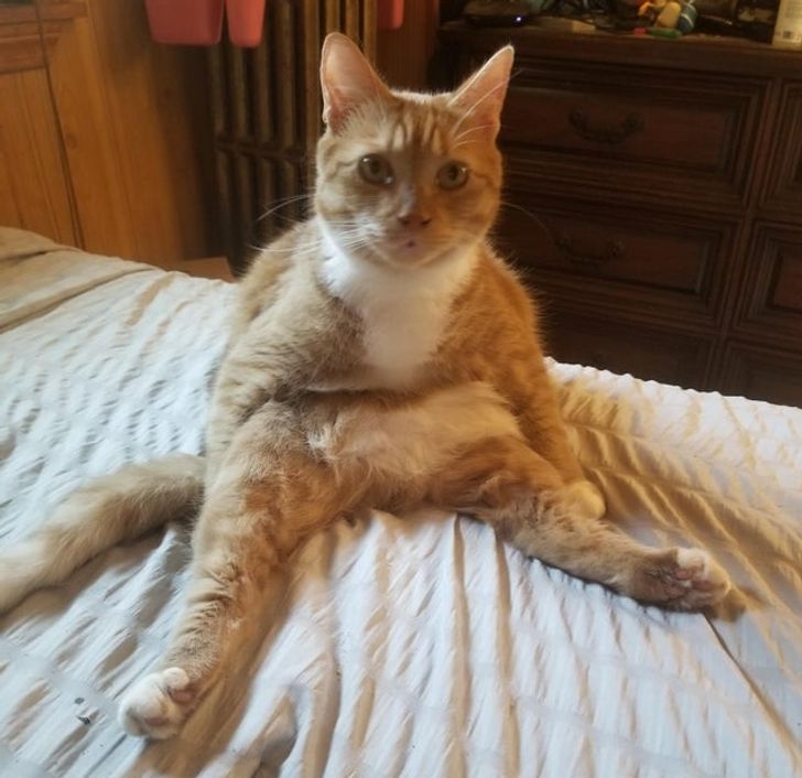 53fb0b5bffaa8c97eaaafea5ac