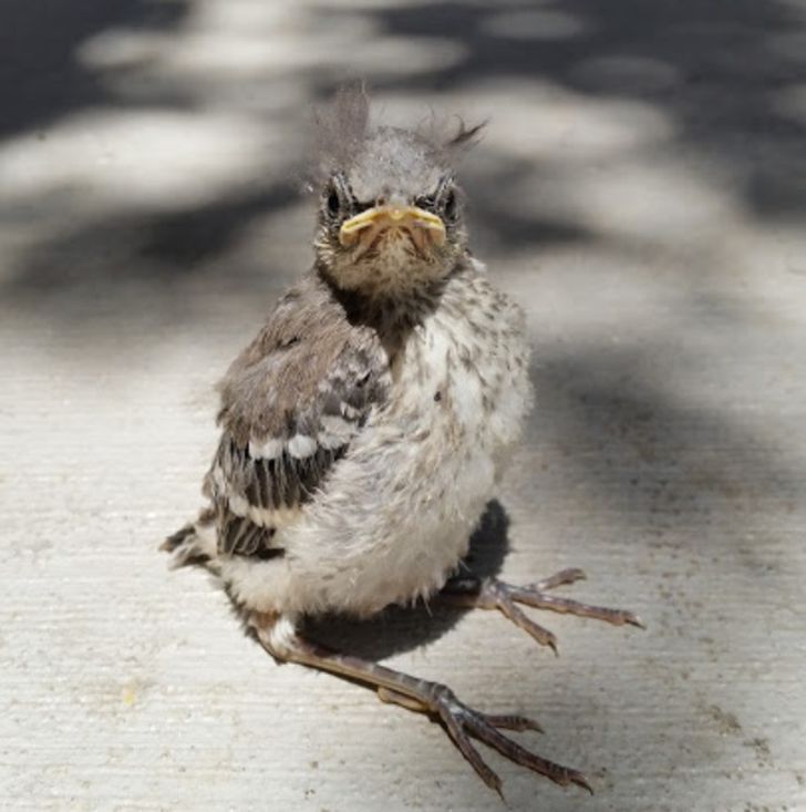 53fed450b38fd8c25c16c4146b