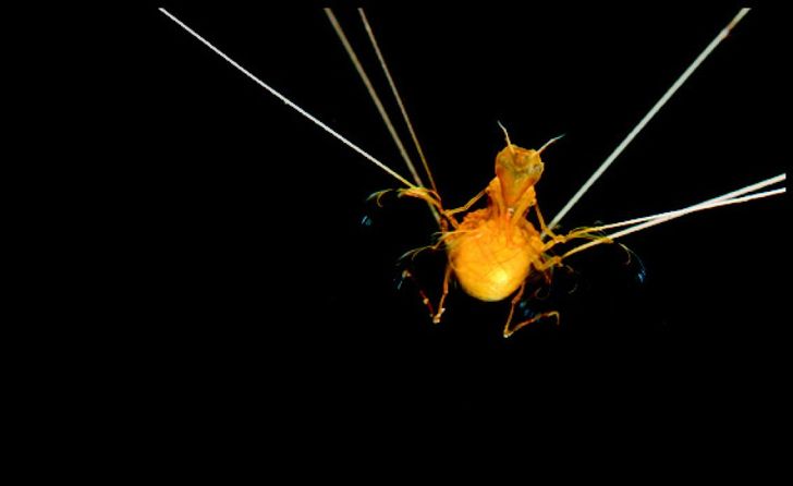 54074e5c5cafb7f55633d72a64