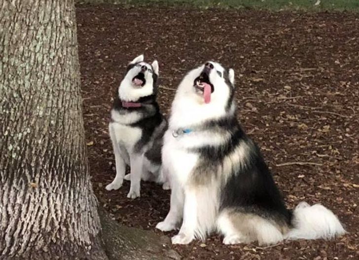 540e1156a195d25f55c0518615