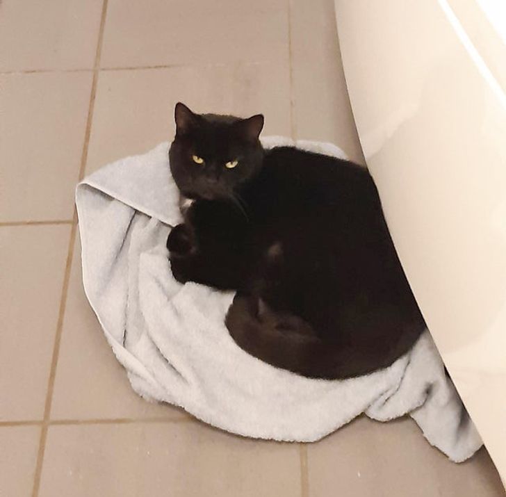 540e285f7cb669fbc4df2fb1df