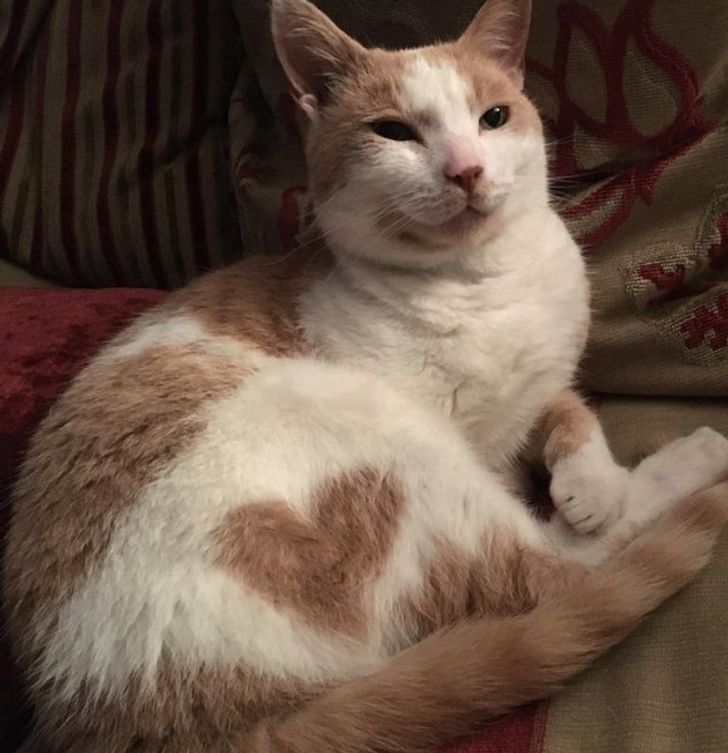 540f855510846ba38a2e1fad83