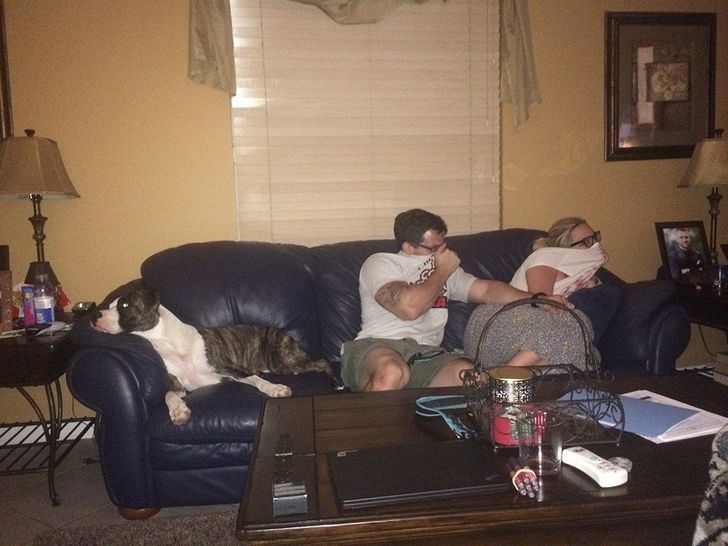 540fb65fa19402179deb65c703