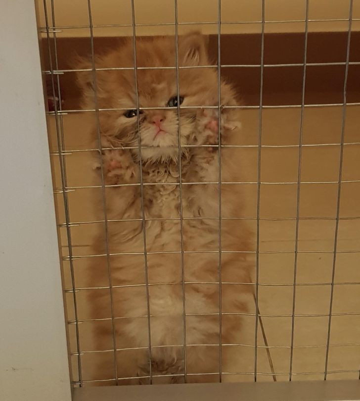 5410505837a5aac39170d0cfbe