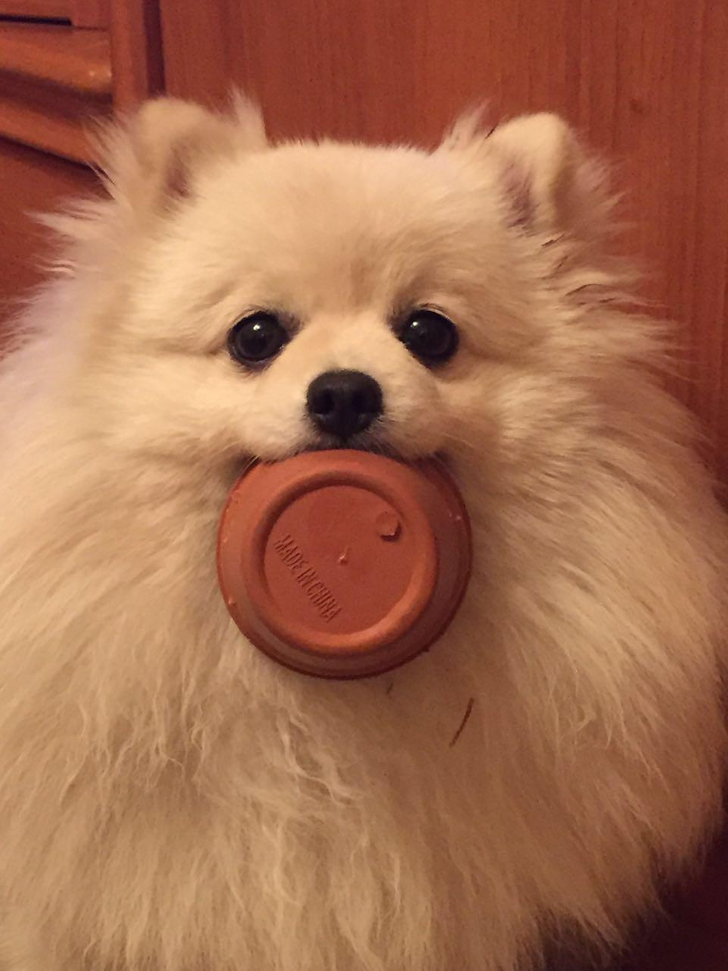 5411e1565aab7f7a3c60d2a9ef