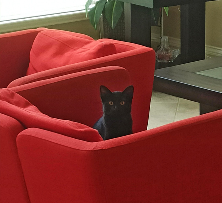 54142c5293b43663b6fa08a235