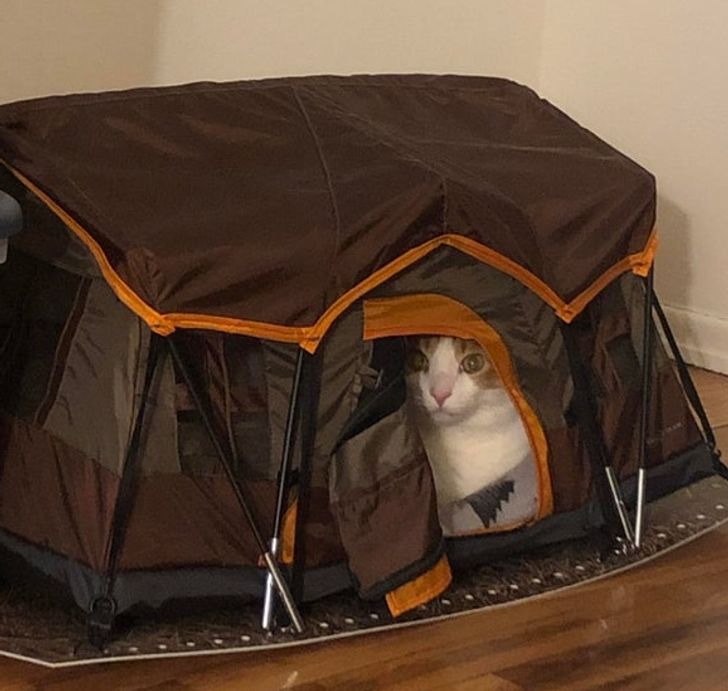 5419195c93964d8bedd1d45a4f