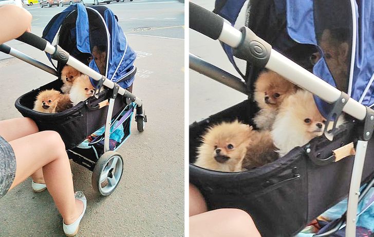 541d4953b69cfd21bb84704ebb