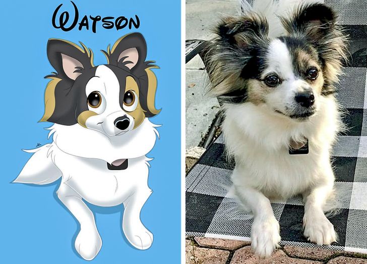 54258853af92ee79c6f349a1d5