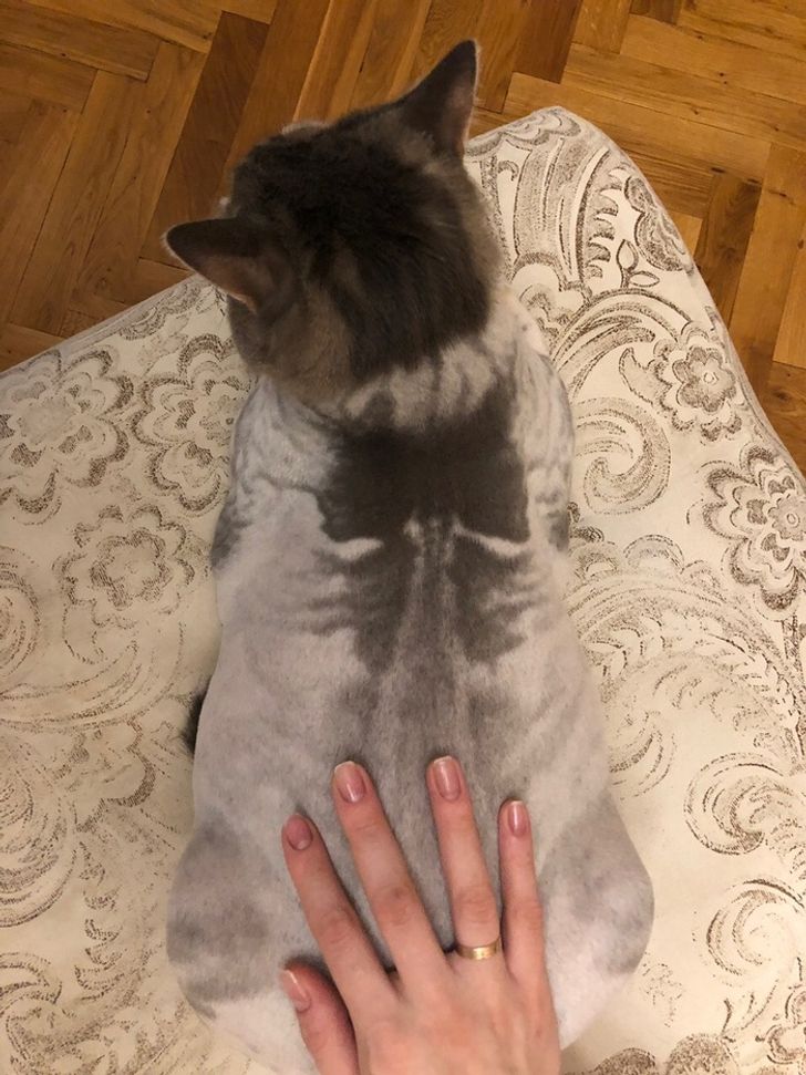 542d0f5cfa902be903f9bc01bf 542d0f5cfa902be903f9bc01bf