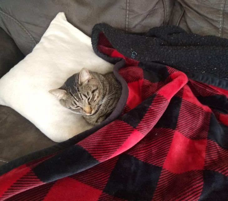 5431265a3fa666fdd4f3935a53