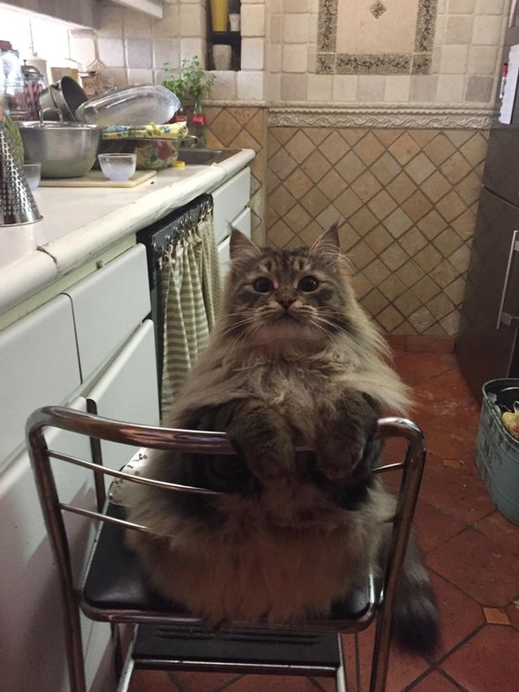 5432f457cbab8ba5e0c6110a6f