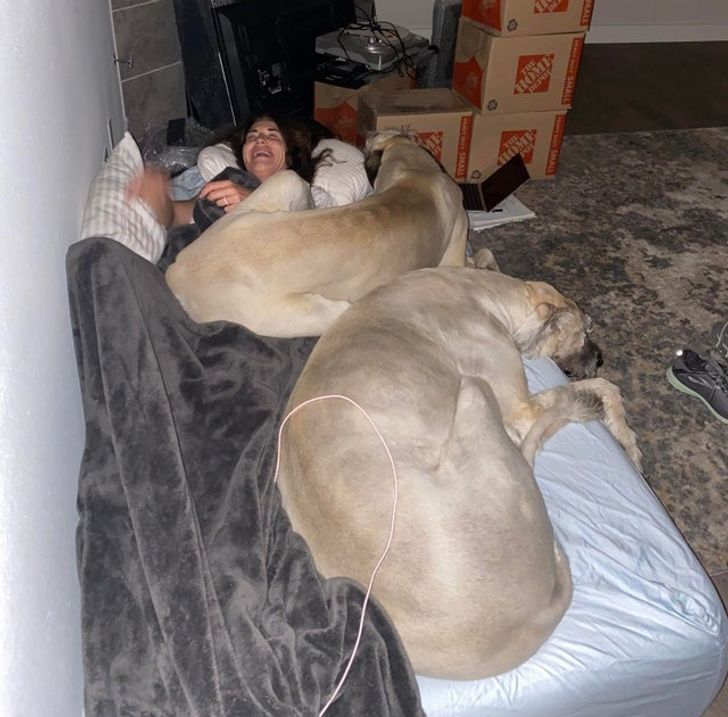 54356e5d418ce7b9b1ce4463e3