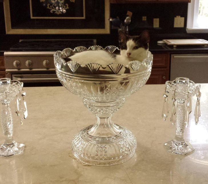 54368f5693a842655d1377285d