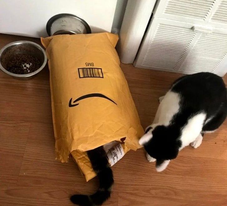 54388f5a4ab60bd1a1ff085608