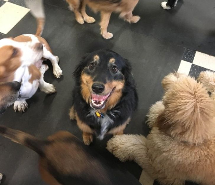 543b165c1e9f14aa45b1984326