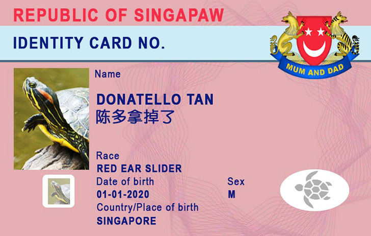 543f115779ab2708cee20394e1