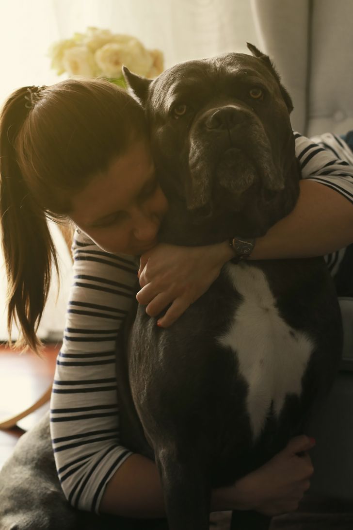 543fa6554facf3b82b13228a96 543fa6554facf3b82b13228a96