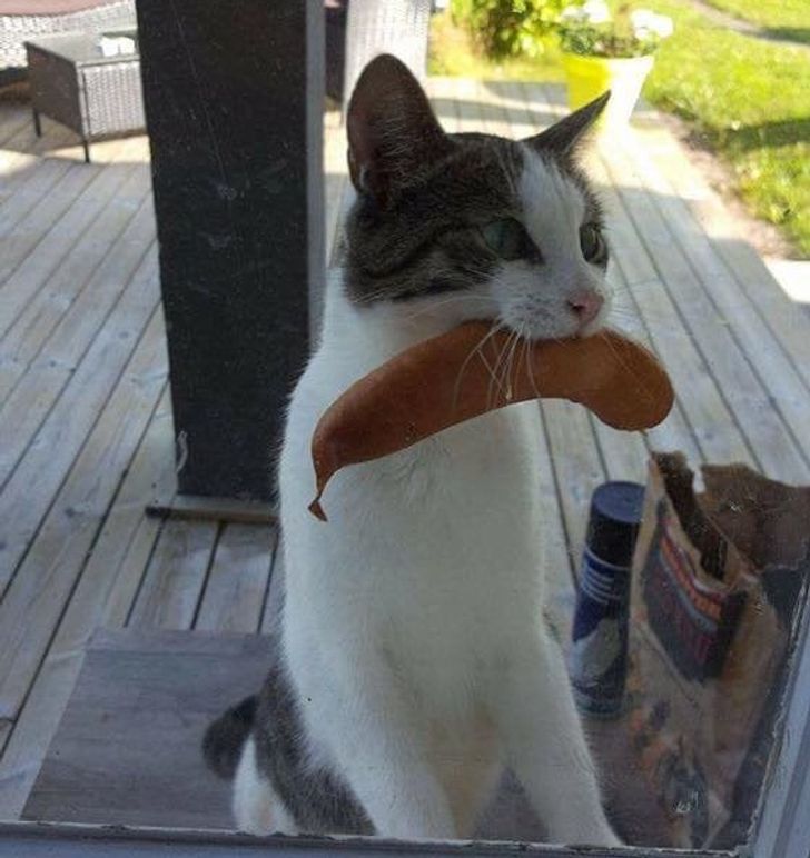 5442de58509f792fe8fcf5db4e