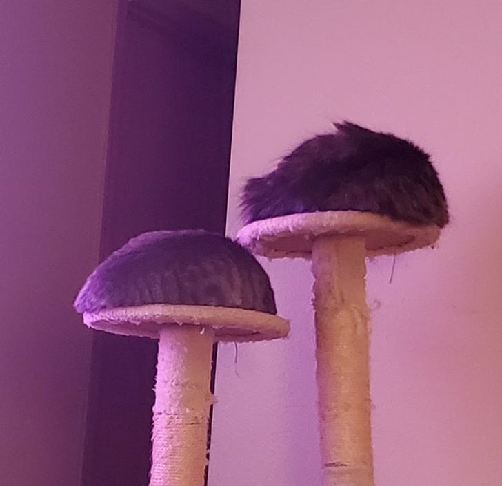 5442ee51c791d3d19c8793d883 5442ee51c791d3d19c8793d883