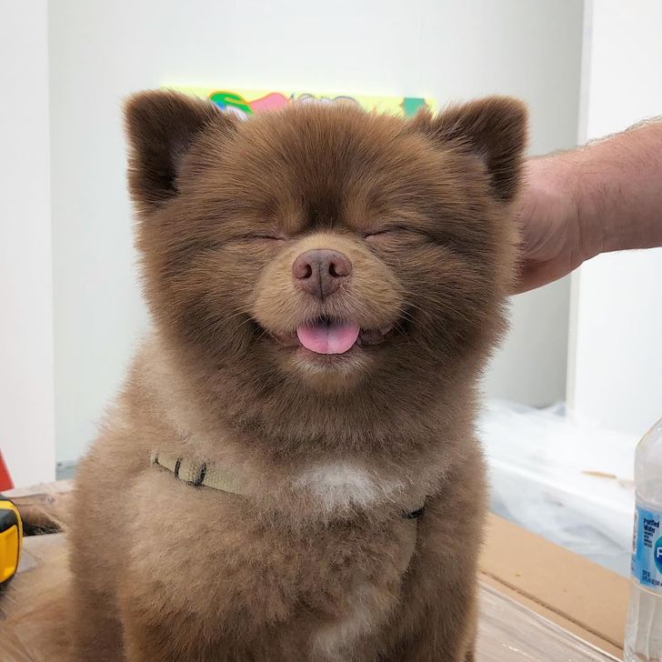 54430e5da88bb8d5959354fe41