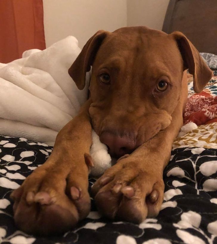 5444755b978466c220075aed5a