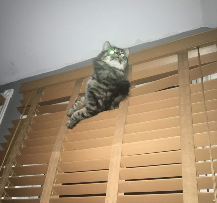 544f015c69a2249bc6eee13a8d