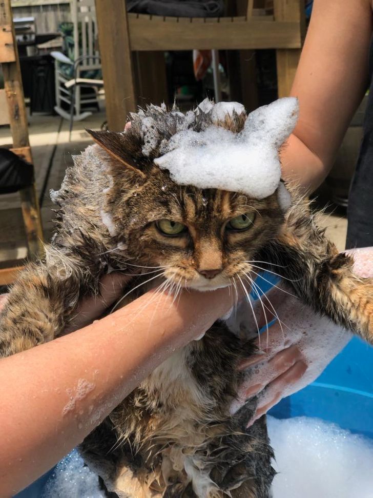 54518d589793373561a4794fb3